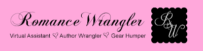 Romance Wrangler | I'll wrangle, you write