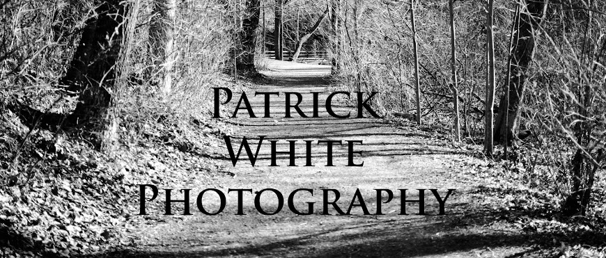 Patrick White Photography