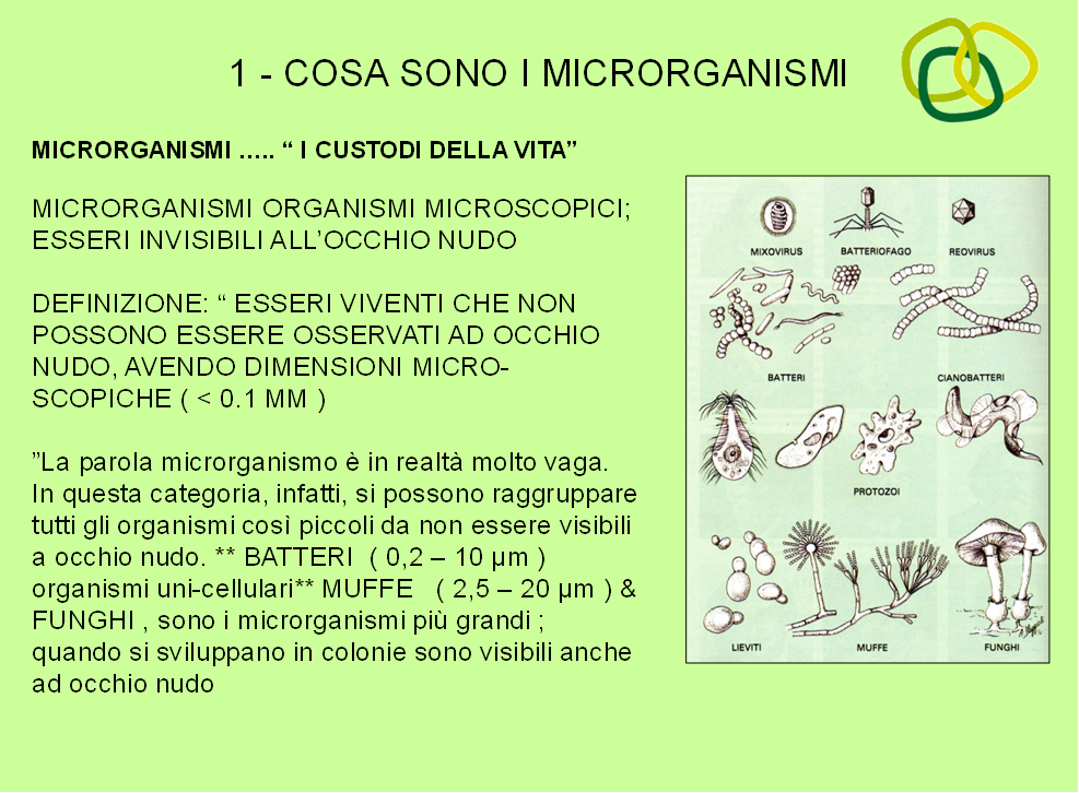 Sviluppiamo Un Mondo Ecosostenibile CHE COSA SONO I Sviluppiamo Un Mondo Ecosostenibile CHE COSA SONO I