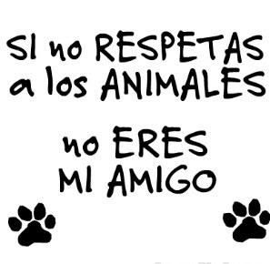 Amo a los perros