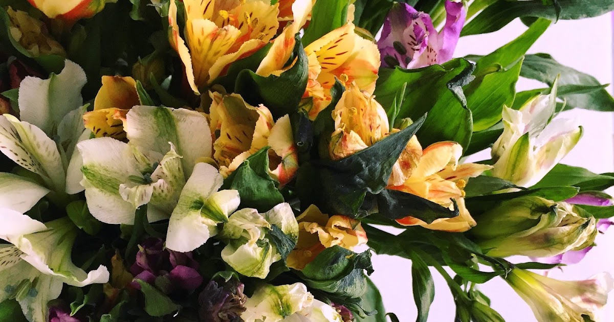 The Simple Life BloomNation