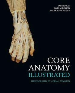 Core-Anatomy-Illustrated