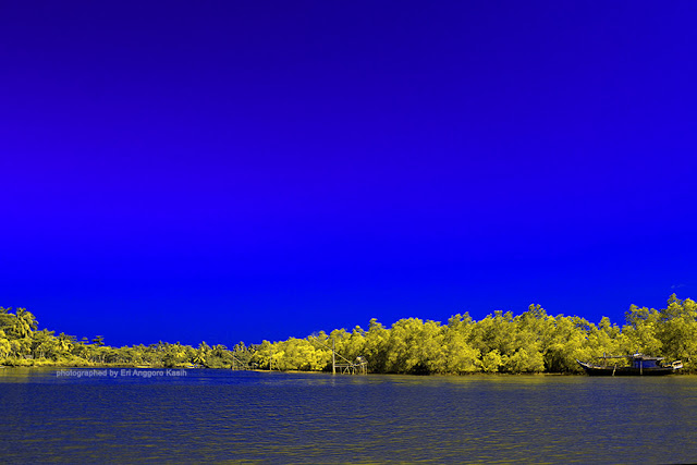 View sekeliling kawasan konservasi mangrove Batu Karas. View sekeliling kawasan konservasi mangrove Batu Karas.