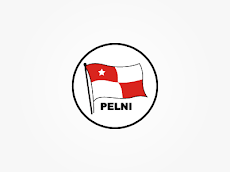 logo pt pelni_237 design