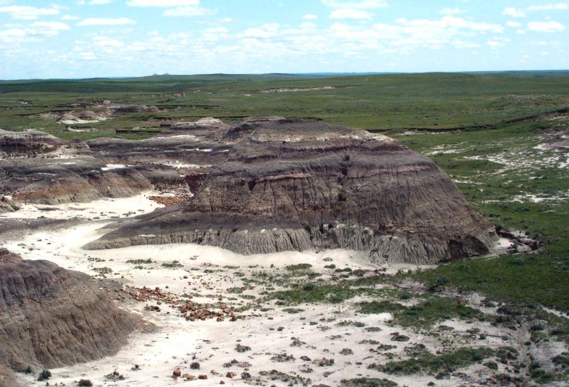 Paleontología y Evolución en la UCM La Formacion Hell Creek, una joya