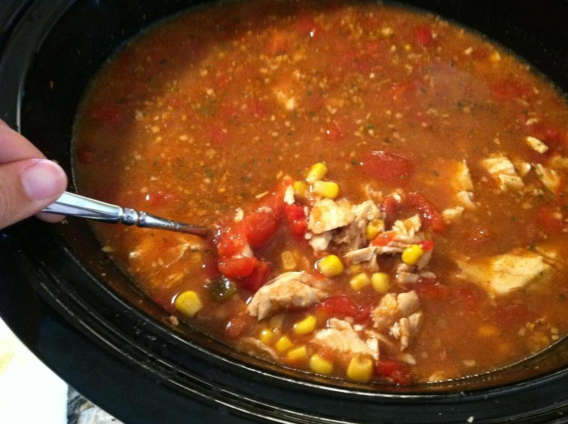 Go With The Flo: Spicy Chicken Taco Soup