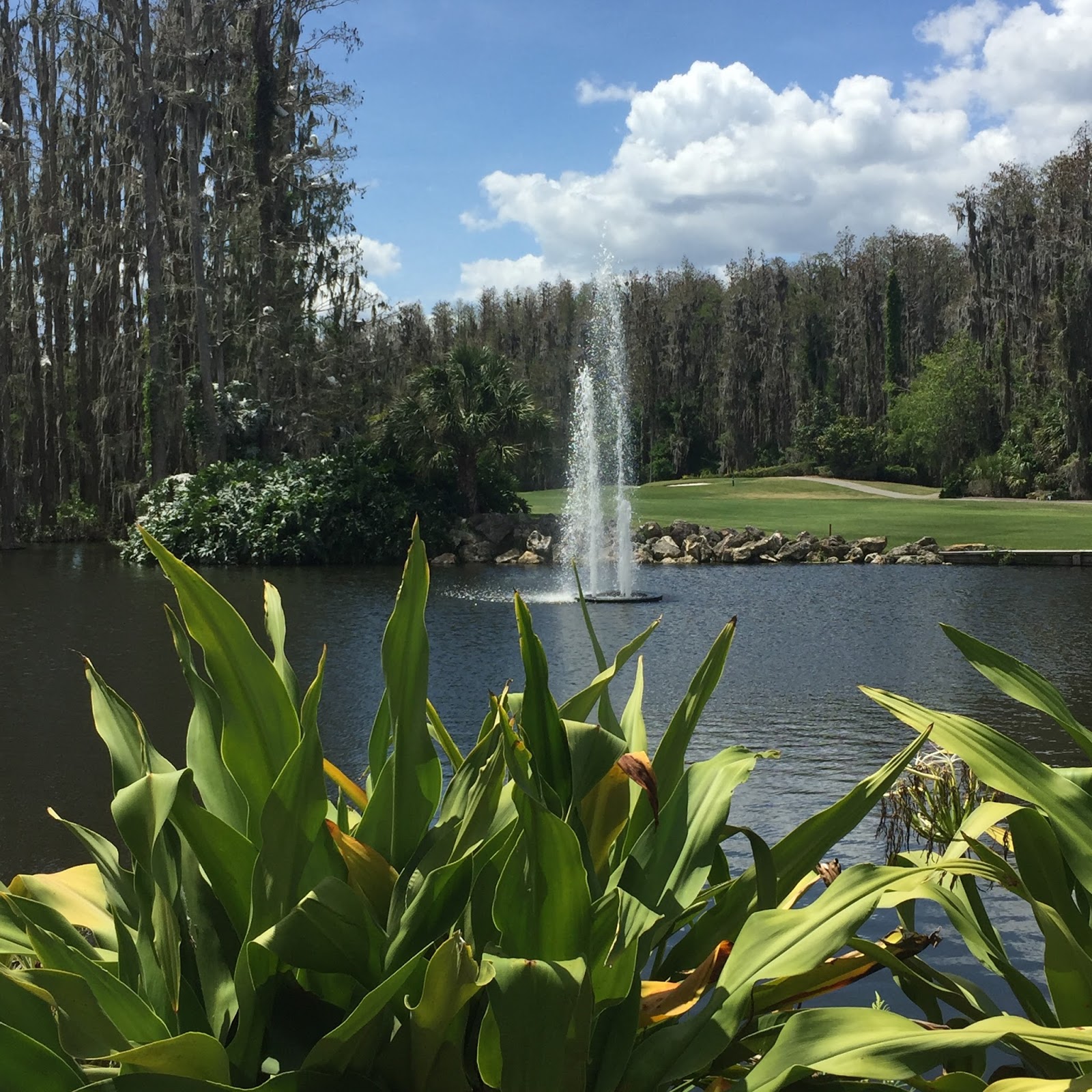 On Location Saddlebrook Resort The Golf Travel Guru