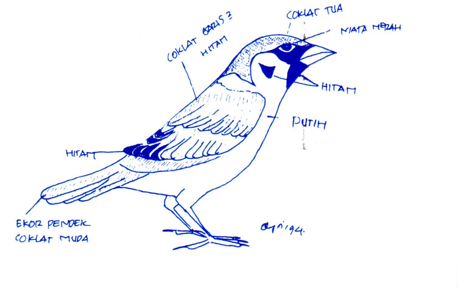 INVENTARISASI BURUNG PDF INVENTARISASI BURUNG PDF