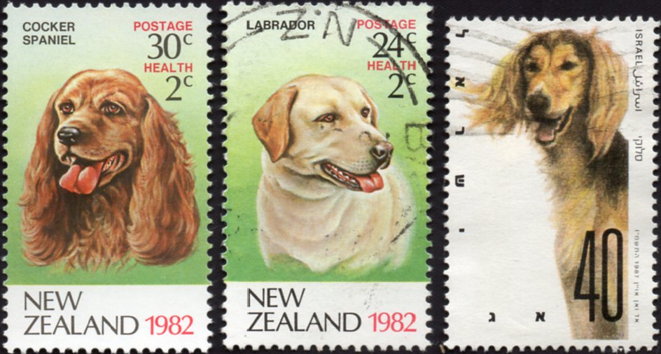 Stamp Right There Dogs Stamps