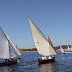 La Regata della Vela e la mostra “Vele latine e libri di mare” 