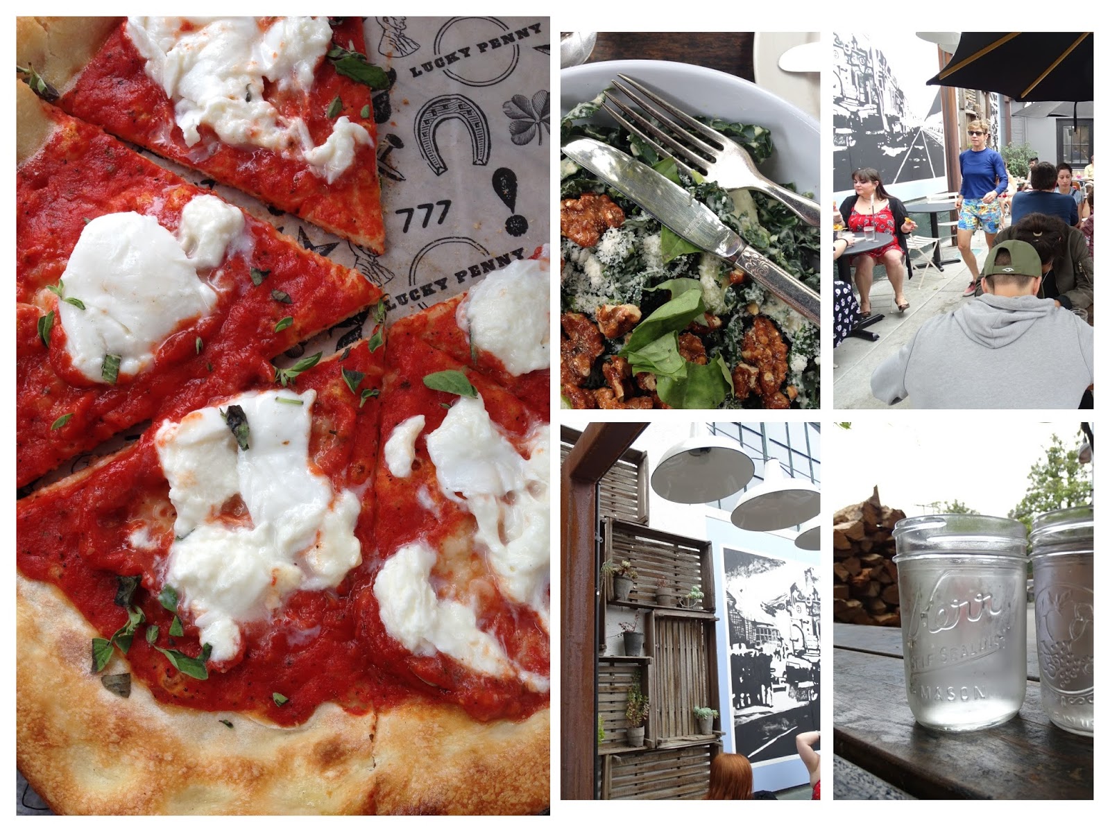 169 Meilleures Images Du Tableau Plante Medicinale Plantes