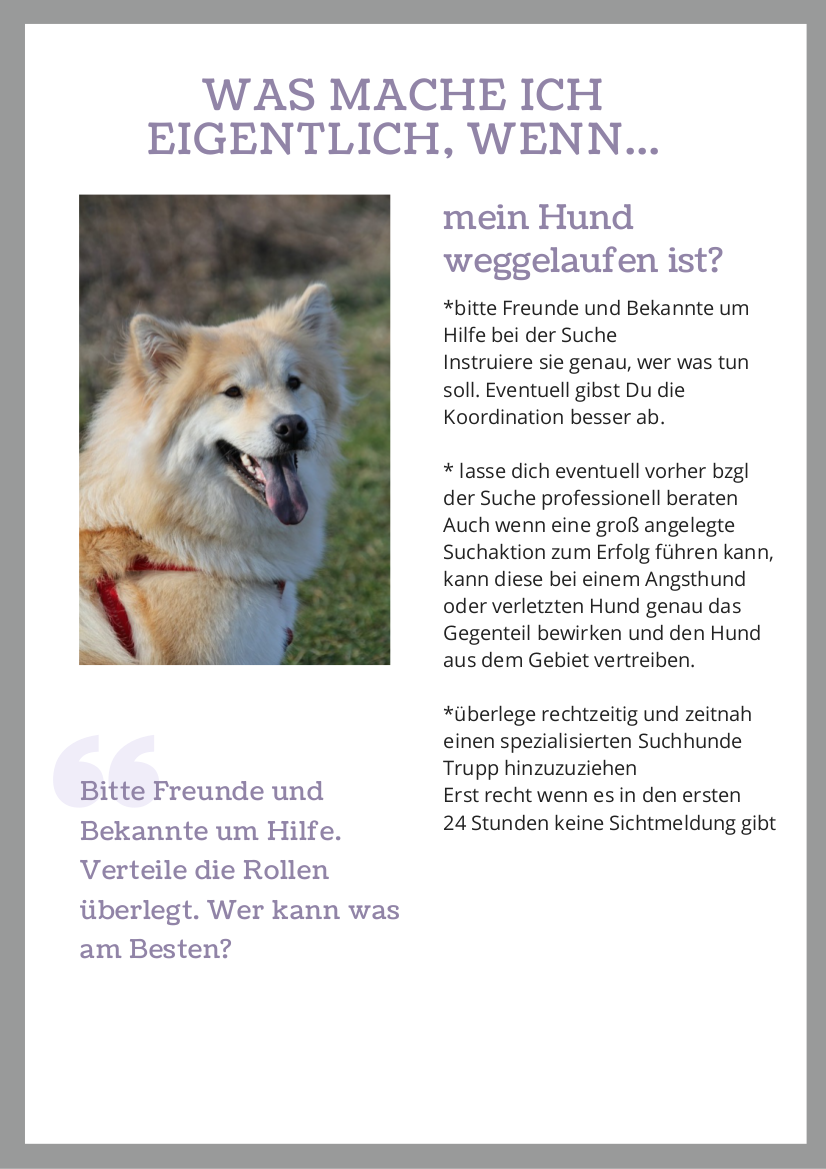 Hund gefunden / Hund entlaufen und jetzt?