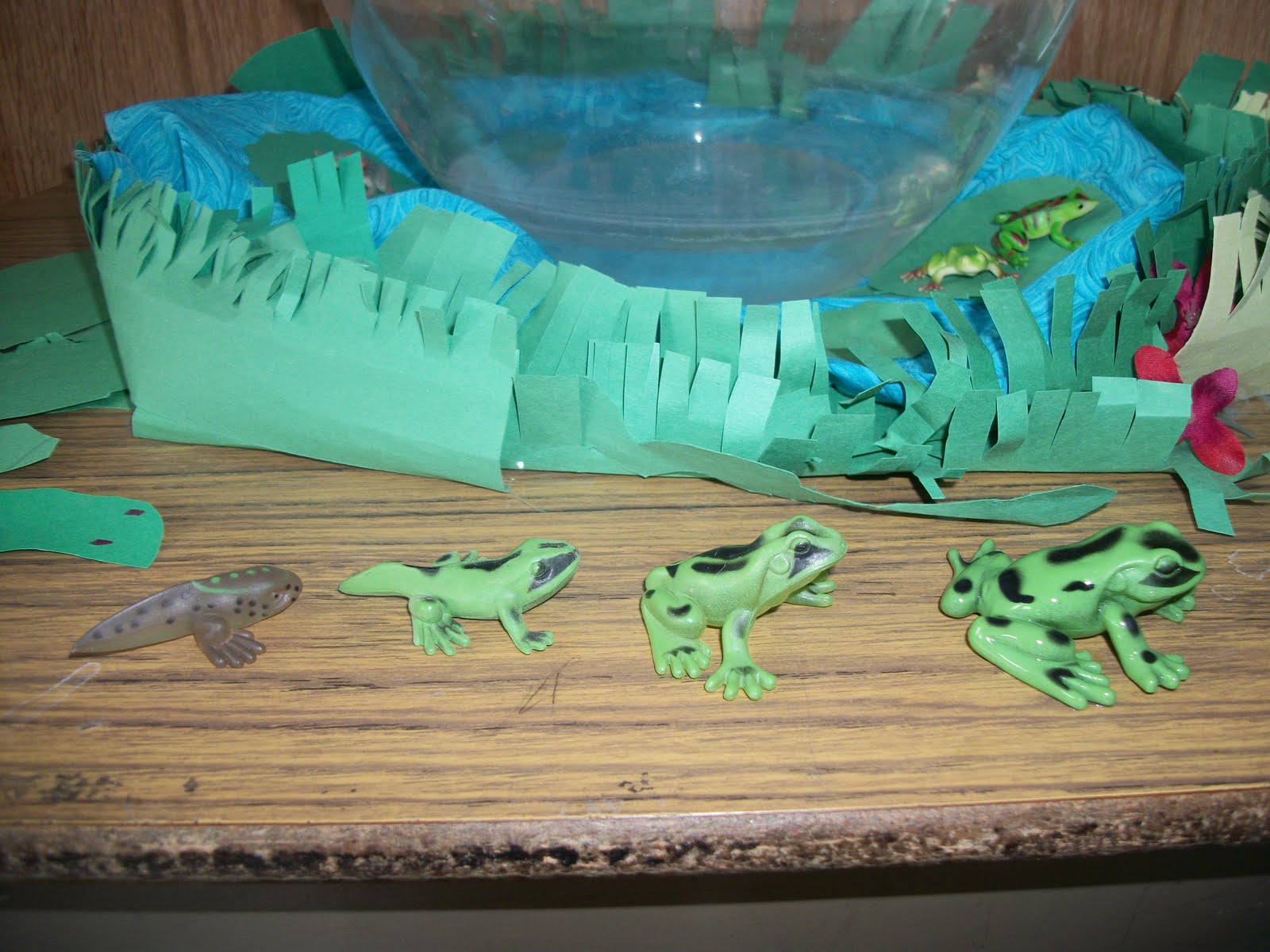 You Can Make The Sun Shine Anytime!!!: Life Cycle of A Frog