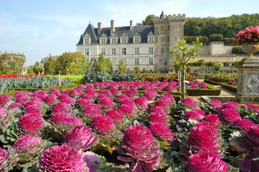 CASTILLO DE VILLANDRY VALLE DEL LOIRA