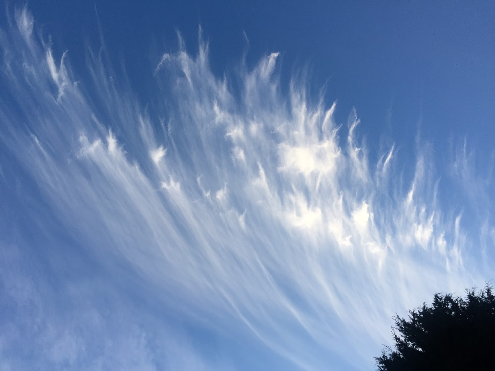 Cliff Mass Weather Blog Stunning Cloud Photos and Falling Ice Crystals