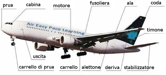 Parte Centrale Dell'aereo Regge Le Ali E Contiene Il Carico VOLA ITALIA: Parti dell'aereo: lessico specifico