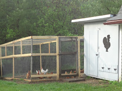 hen chicken painted coop reuse glad able were