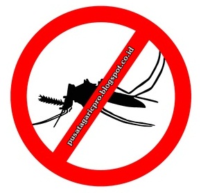 Obat Malaria Obat Malaria