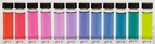 12 vials in a row, filled with clear colored liquid going from red at left, to blue, green, and then yellow at the right.