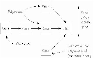 Seven Steps Seven Tools: Apa sih Diagram Scater