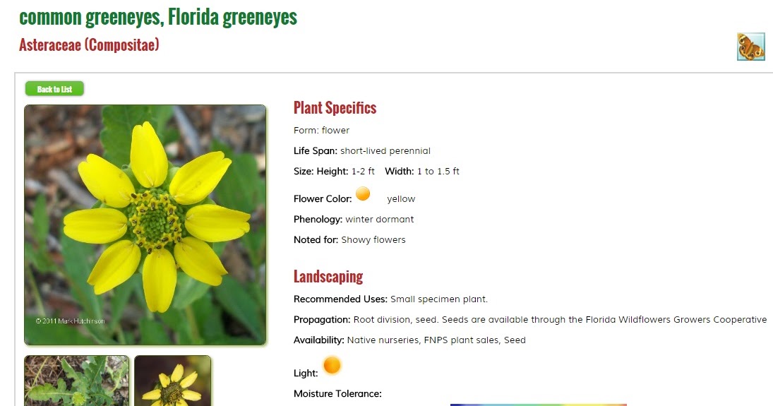Florida Native Plant Society Blog