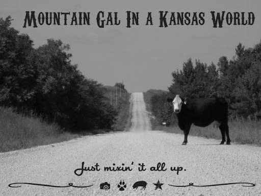 Mountain Gal In A Kansas World