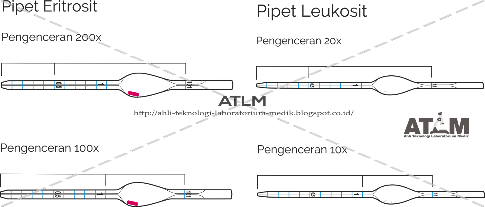 Belajar Pengenceran Pipet Thoma Hemocytometer — Online Text Book ATLM