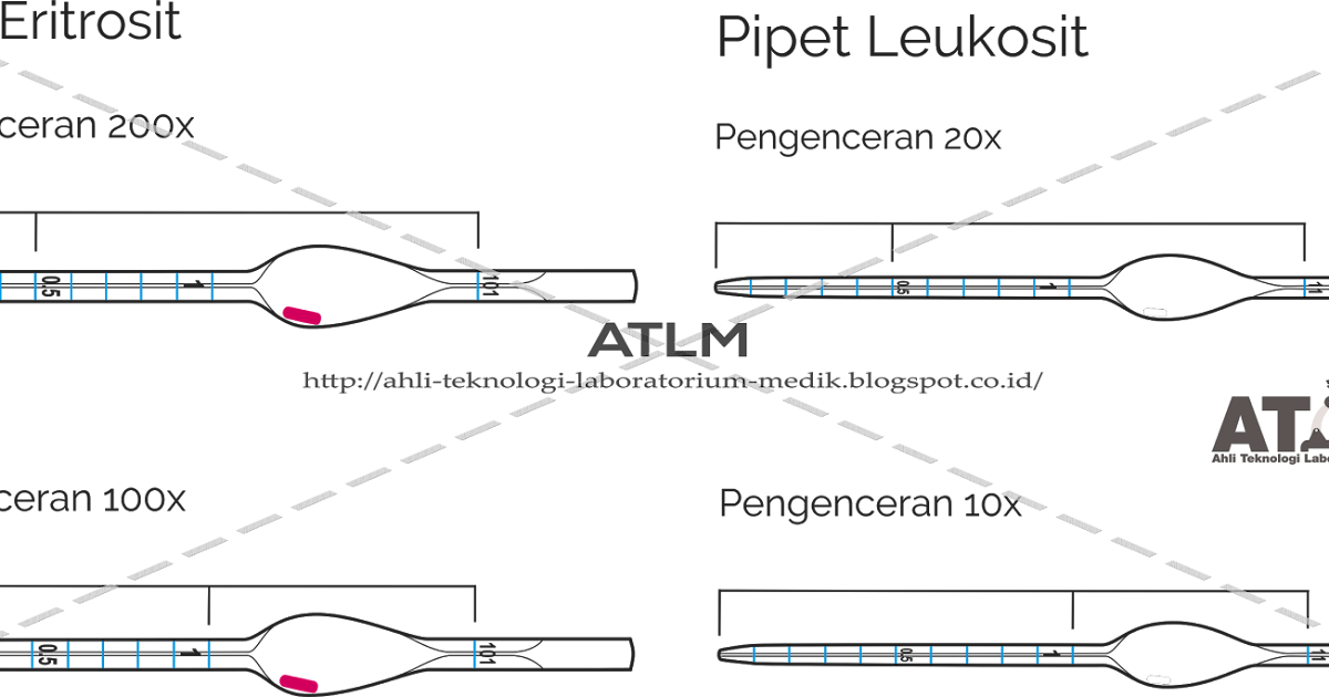 Belajar Pengenceran Pipet Thoma Hemocytometer — ATLM