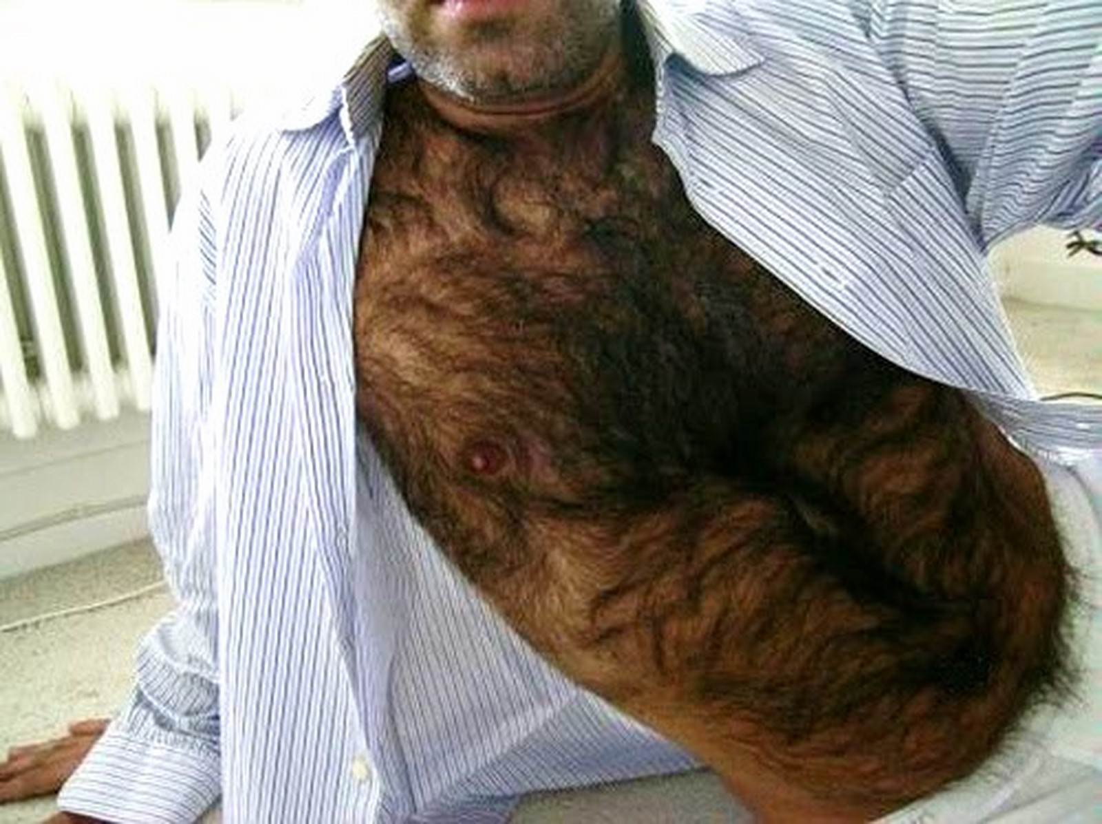 гигантская волосатая грудь фото 106