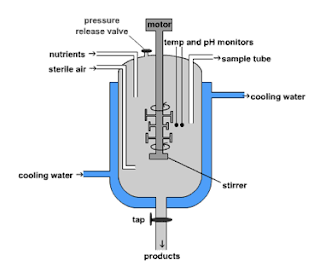 Biology GCSE Revision: 5.8 interpret and label a diagram of an