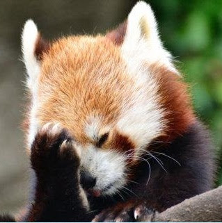Forum Image: http://2.bp.blogspot.com/-Imu5mBBUwtE/UOyJicl7iEI/AAAAAAAAADI/mWB1pbzjoW8/s400/fox-facepalm.jpg