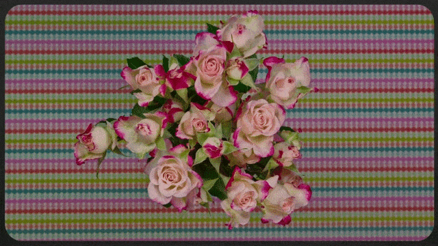 [Image: hoa-no-dep-ngan-ngo-2.gif]