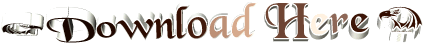 banner 728x90