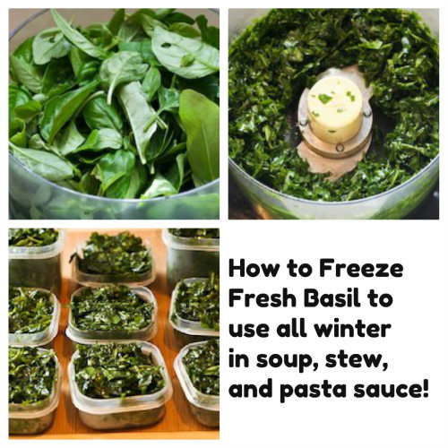 How to Freeze Fresh Basil