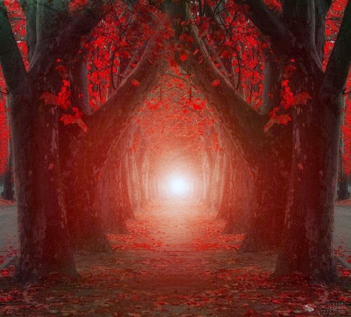 Сказочная страна