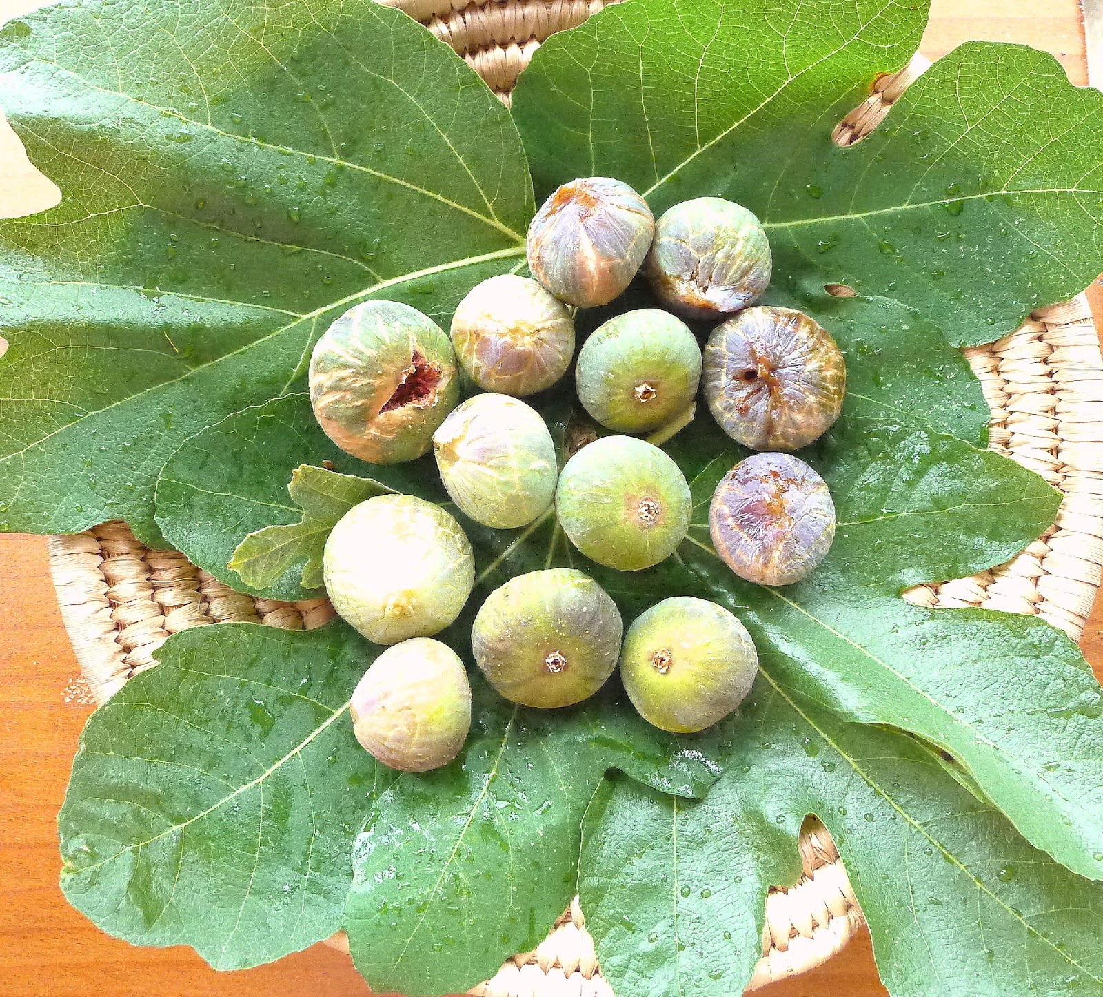 MY KITCHEN IN SPAIN A GOOD YEAR FOR FIGS