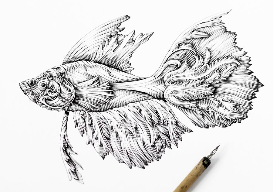 15-Fish-Alex-Konahin-Super-Detailed-Ink-Animal-Drawings-www-designstack-co