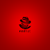 රතු හිස්වැස්ම නොහොත් Red Hat Linux - Common Commands