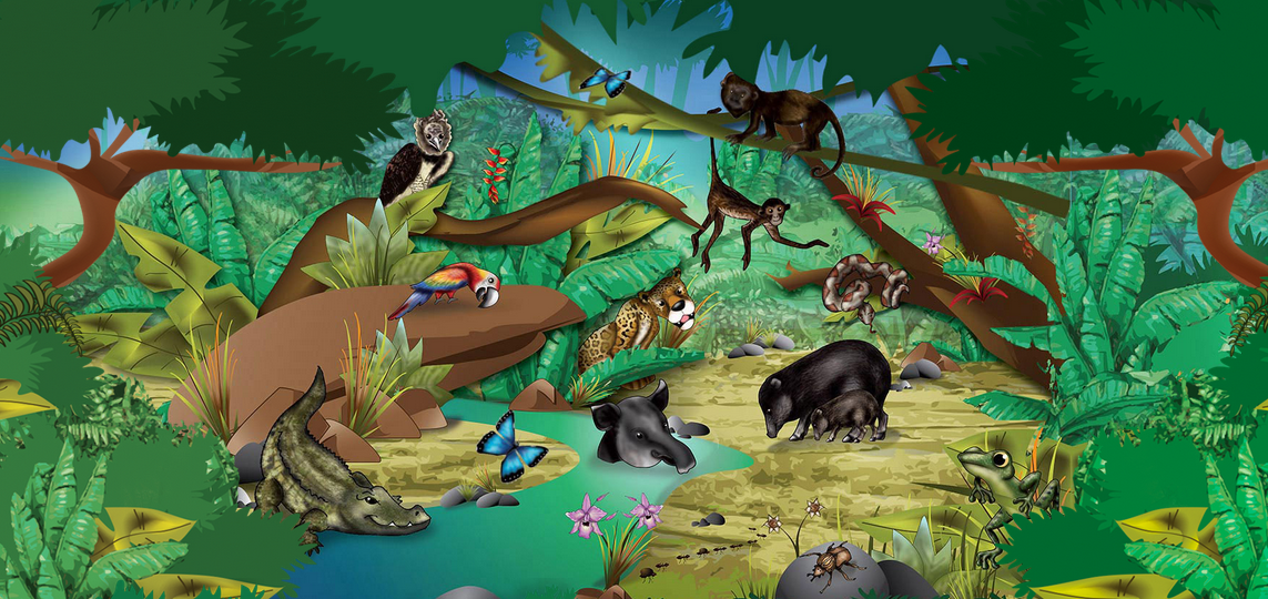 Игра растительный мир. Фауна ориентального царства. Картинки для фона география фауна.