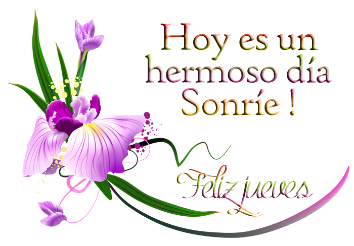 Banco de Imágenes: Feliz Jueves !! - Postales con flores y mensajes para  WhatsApp y Facebook - Comparte con todos...