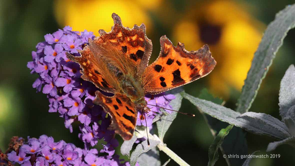 Tone On Tone Interior Garden Design