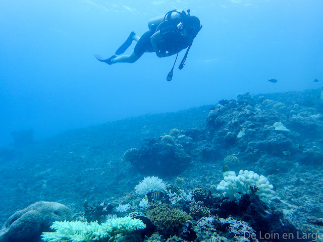 Meno wall - Gili Meno - Bali Lombok