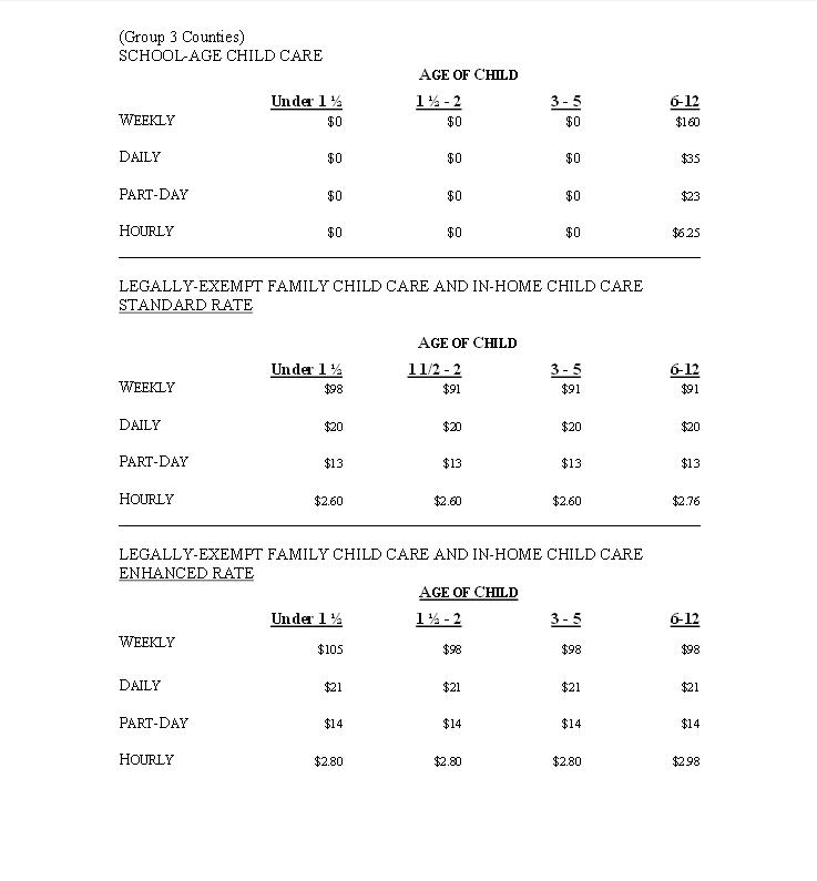 Herkimer and Oneida Counties Census Data Affiliate Who's Minding the