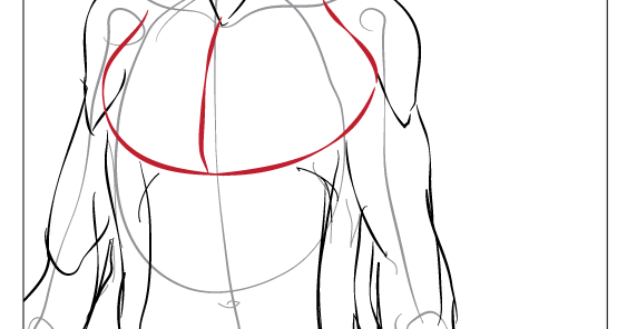 how to draw a human chest