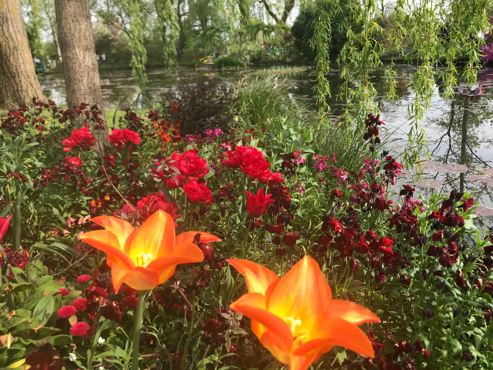 Monet puutarha, Giverny