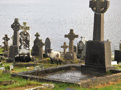 A la conquête du Wild, Wild West Irlandais de Sligo à Dingle - lebalouder