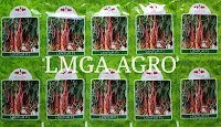 Benih, Bibit, Panah Merah, Produk, Tavi, Harga Murah, LMGA AGRO, Cabai Lentur, Lentur,