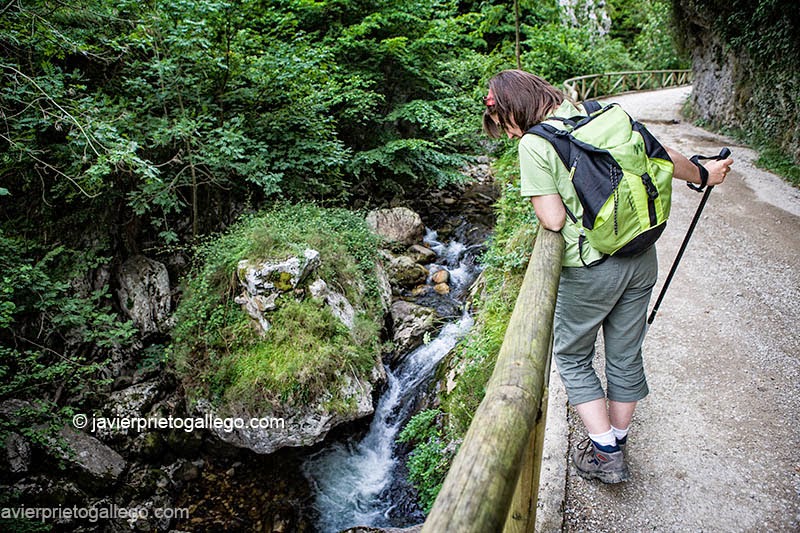 Ruta del Alba. En el parque natural de Redes. Asturias. España. © Javier Prieto Gallego