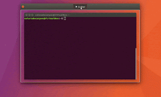 Peek para Linux Ubuntu