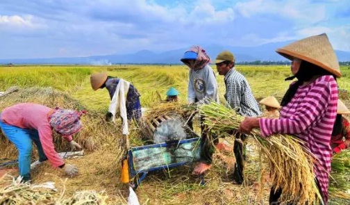 Forum dan Komunitas Pertanian Indonesia – Agroteknologi.web.id Forum dan Komunitas Pertanian Indonesia – Agroteknologi.web.id
